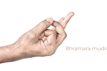 Bhramara-Mudra