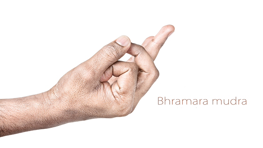 Bhramara-Mudra