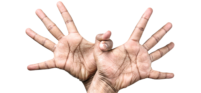 Garuda-Mudra